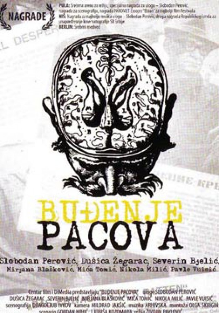 Buđenje pacova